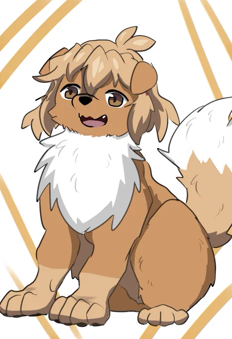 犬花 