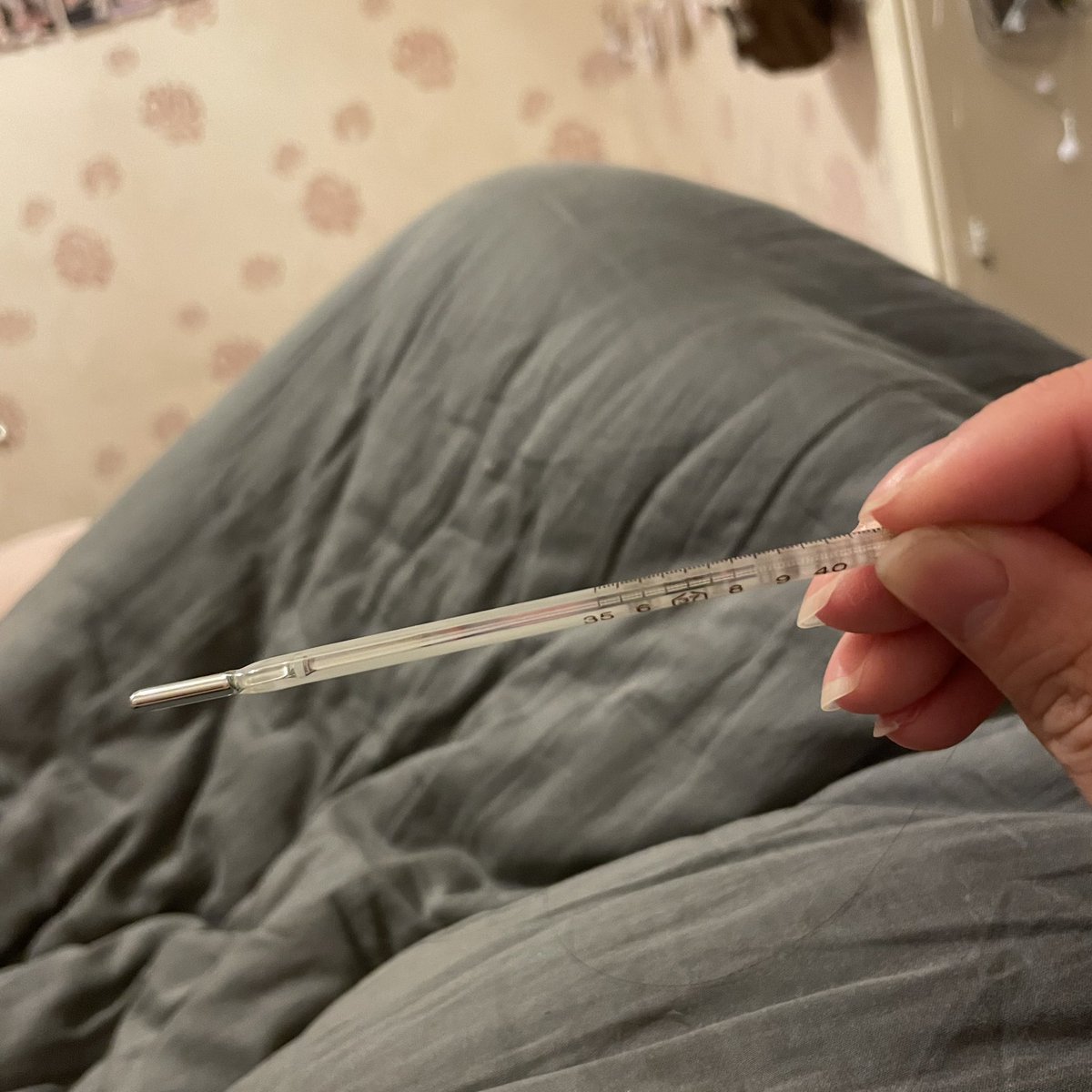 发一天烧了，测出来是阴，不知道是不是试纸不准
美羊羊不营业了，等好了再补 https://t.co/VT7wHasqYk