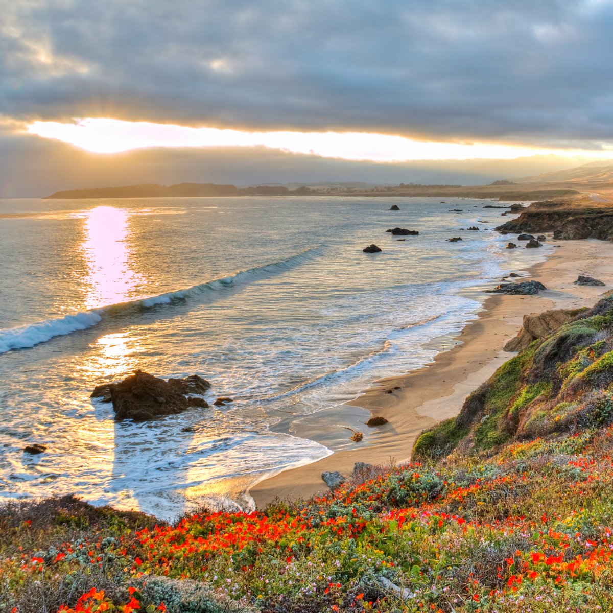 We are excited to announce that registration for Eroica California 2023 is now open! 🎉 Cyclists can ride challenging routes from Saturday, September 16, to Sunday, September 17, 2023. 

Visit the below link for more information. eroica.cc/en/california/…