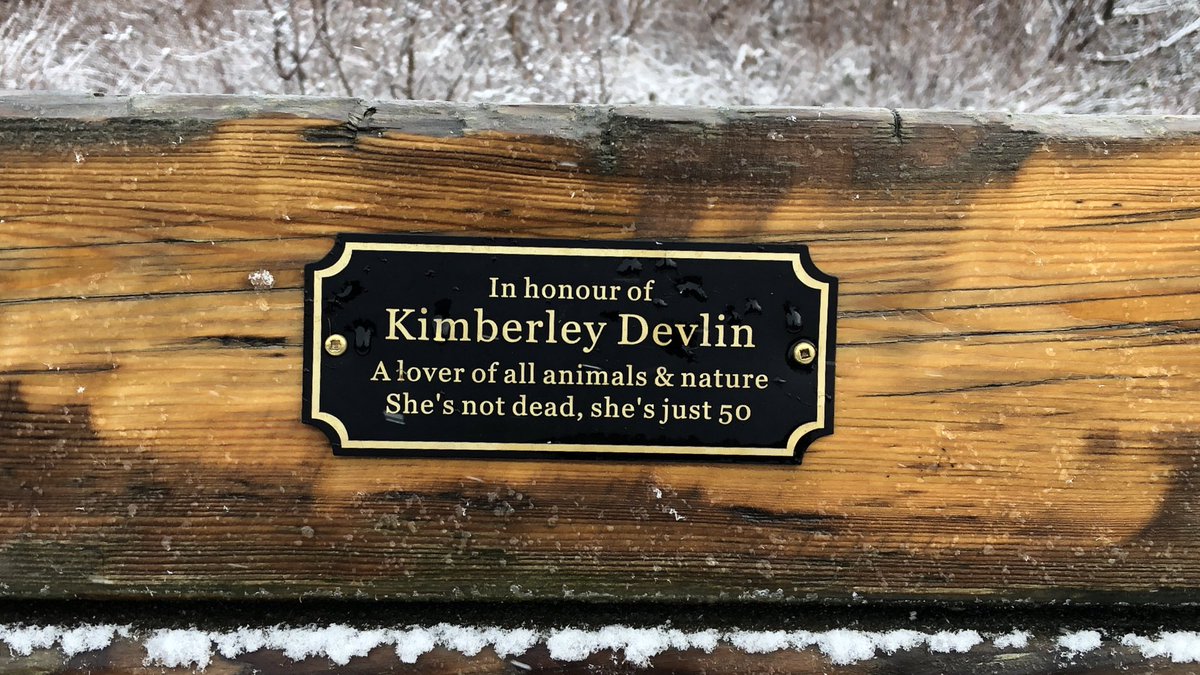 Bailey White tweet media