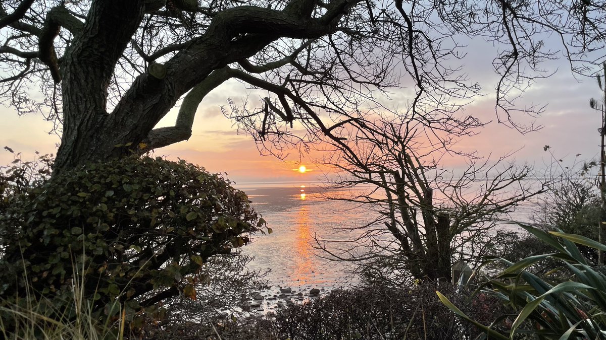 In Ex Design tweet media