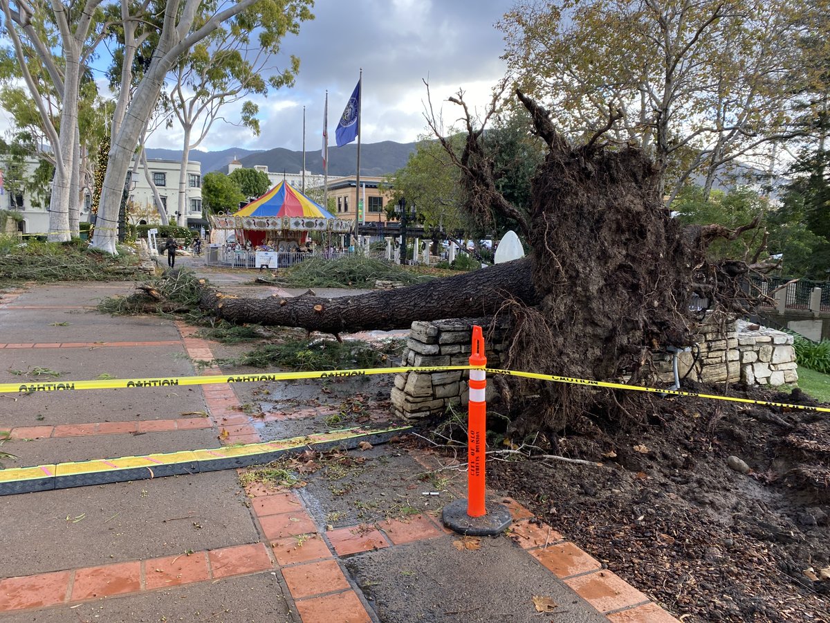 A large tree came down in San Luis Obispo’s Mission Plaza during last night’s rain and wind storm. However, the elves at Downtown SLO tell us this won’t affect the festivities at Santa’s House today and that Santa Claus will be there to meet with kiddos starting at noon.