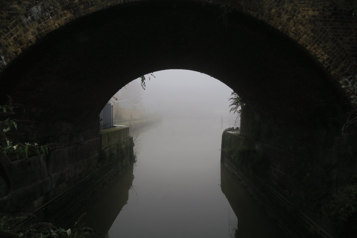 Ian Tokelove tweet media