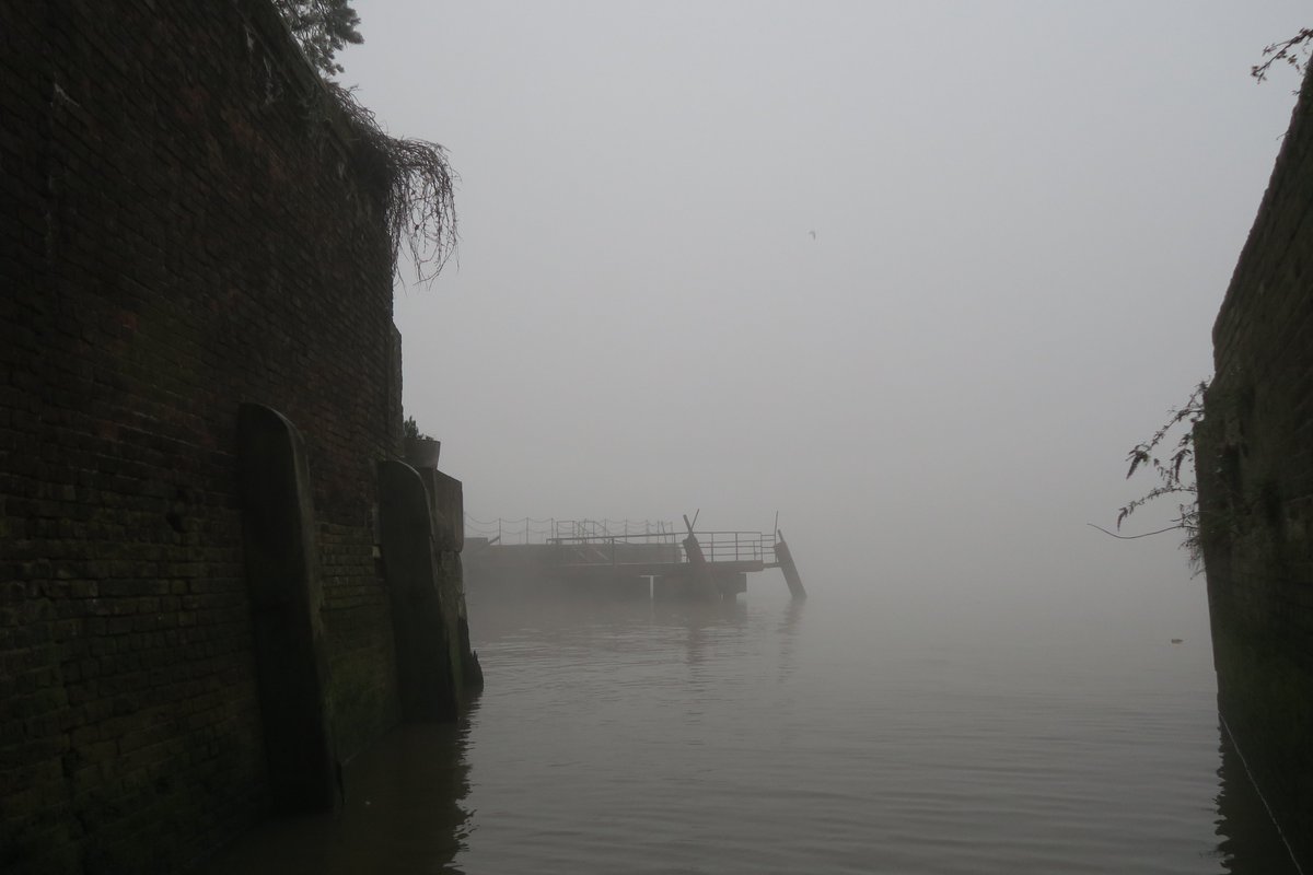 Ian Tokelove tweet media