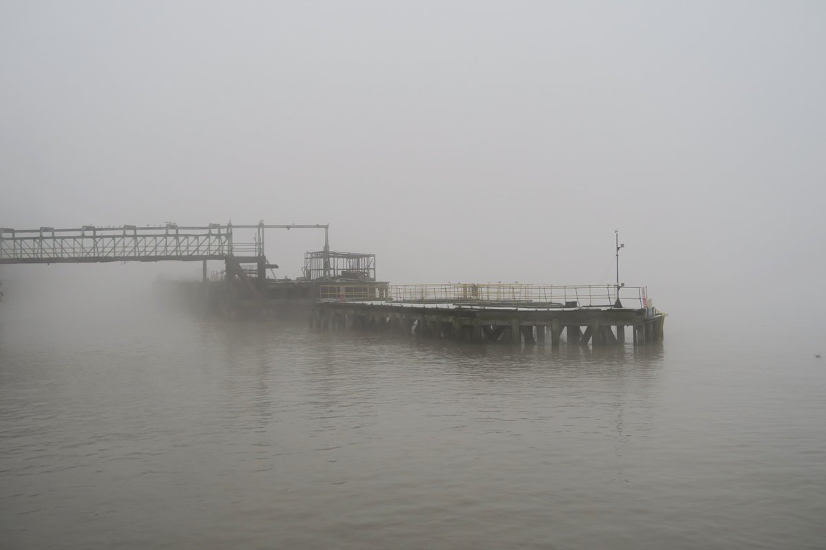 Ian Tokelove tweet media