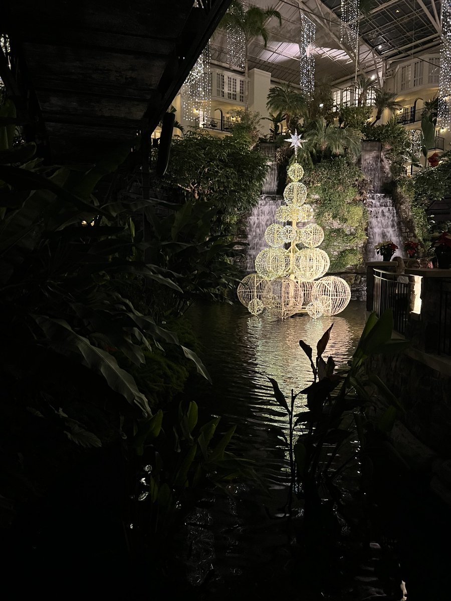 Marty M. Marsh tweet media