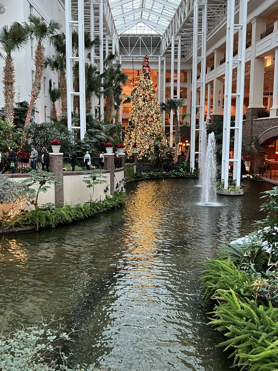 Marty M. Marsh tweet media