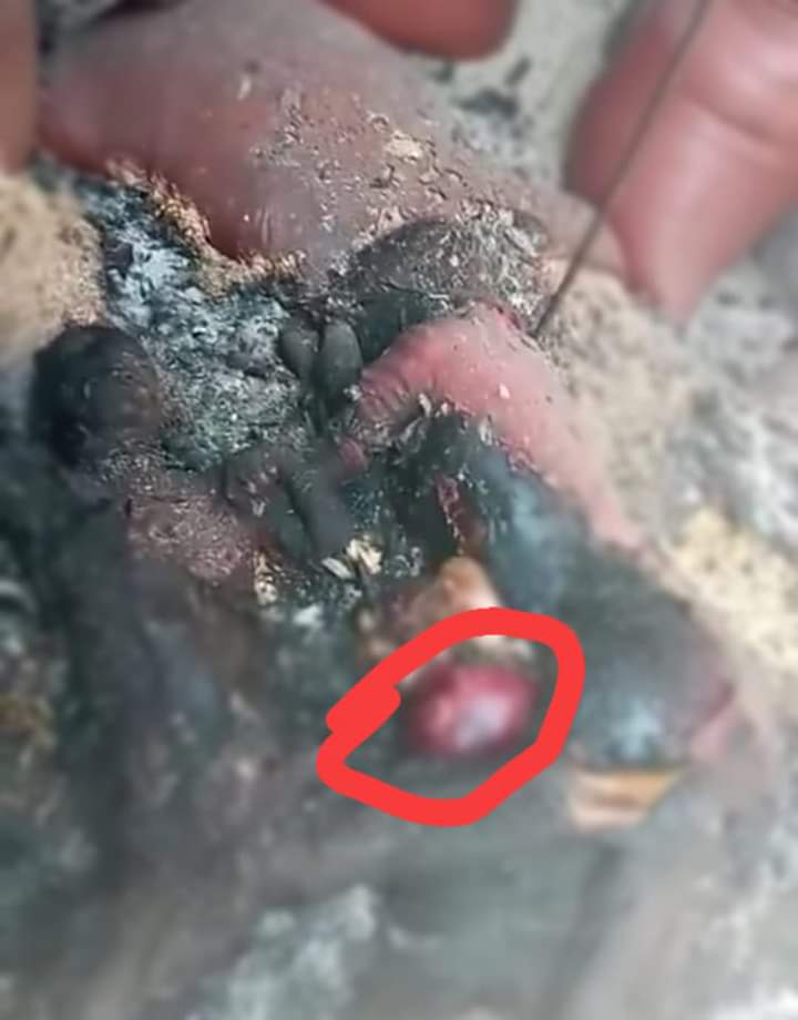 Gaddisiisa Ulfaataa!  Lixa Oromiyaatti mootummaan Itiyoophiyaa fi Fannoon Amaaraa mana dubartii Ulfa ji'a 8tiitti ibidda qabsiisuun ishee fi ijoollee ishees wolumaan gubanii ajjeesan.  Waan Itoophiyaa fi Fannoon Amaaraa ummata Oromoo irratti raawwataa jiranu ilaalaa mee😭😭😭😭