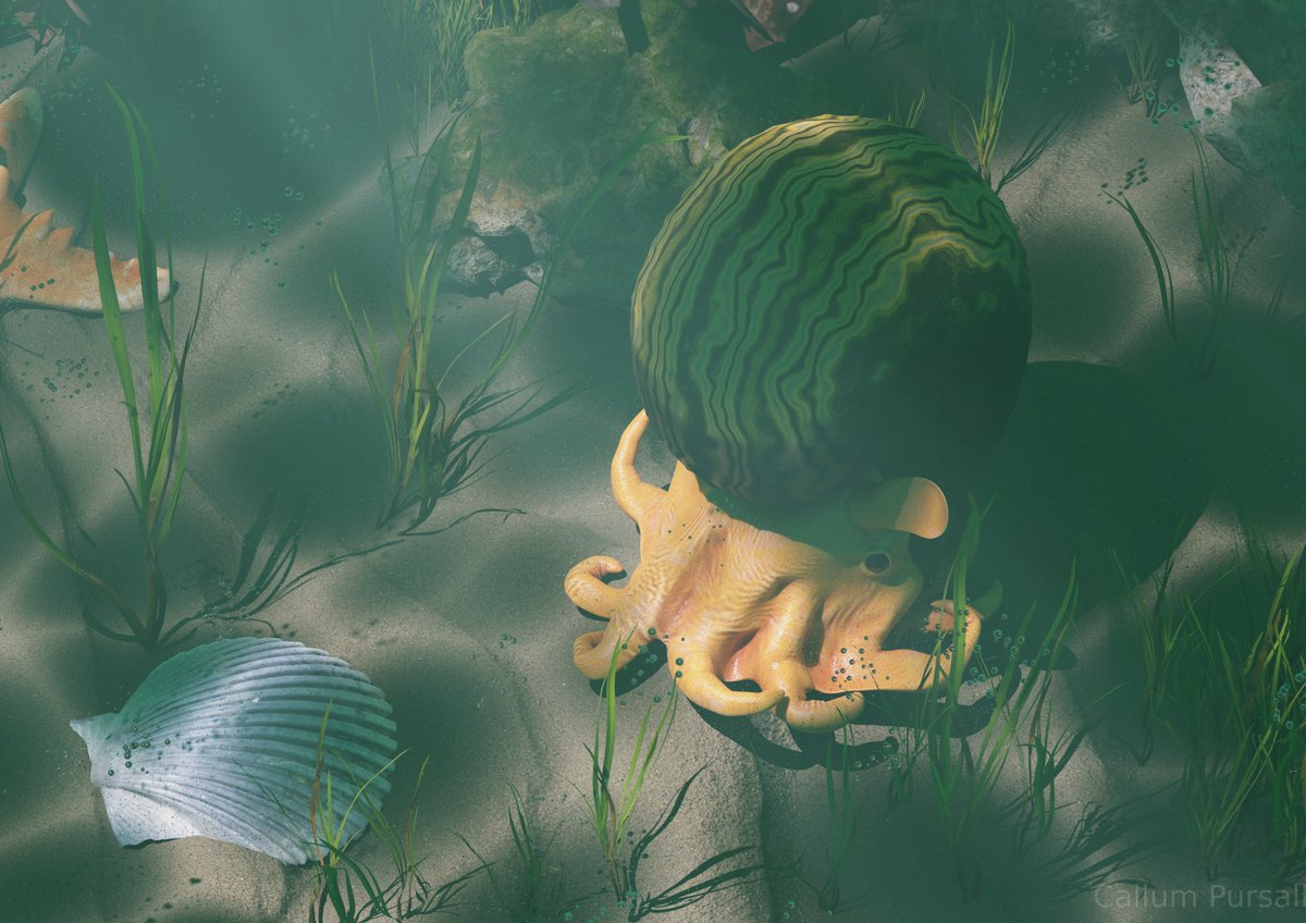 I dreamed of a Dumbo ammonite so had to make it reality. Arcestes forages on the seafloor. 

#paleoart #ammonites #paleontology #blender #triassic #cephalopods #3dart #dumbooctopus