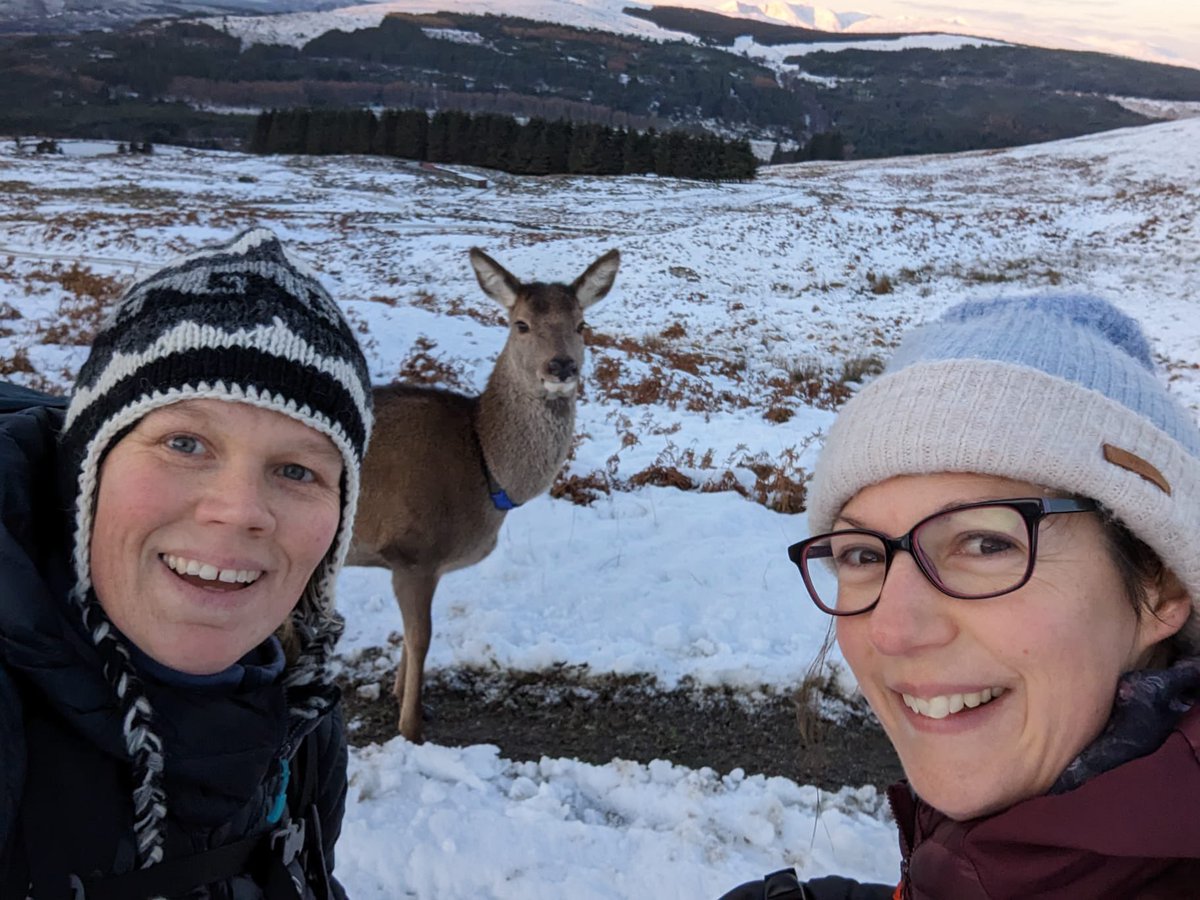 Sarah Abenheimer tweet media