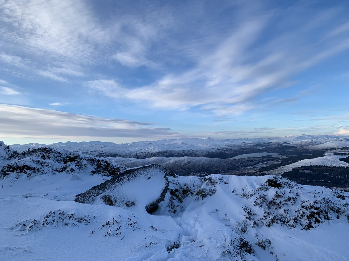 Sarah Abenheimer tweet media