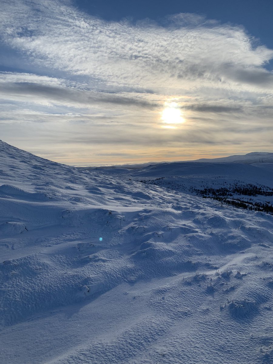 Sarah Abenheimer tweet media