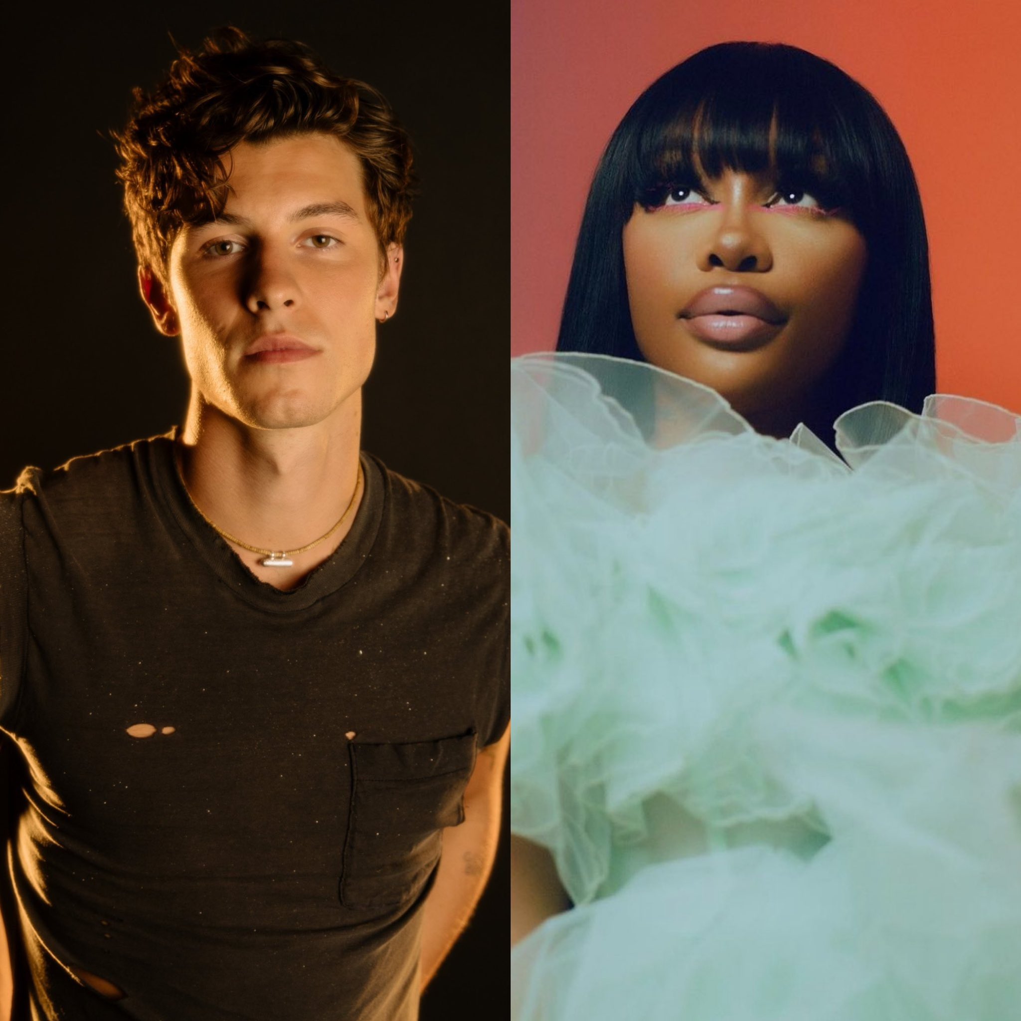𝗥𝗶𝗰𝗮𝗿𝗱𝗼 • 🕷 🖤 on Twitter "PopBase sza ShawnMendes AOTY GRAMMY 2024