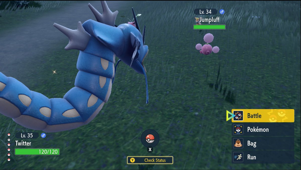 Sjipoepii's tweet photo. Goedenavond.#Firstshiny ✨ https://t.co/KzHbqlXlVv