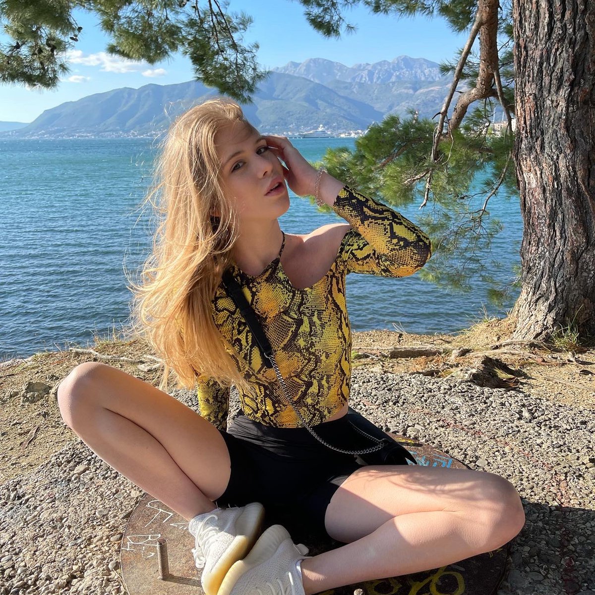 Dana Helloger tweet media