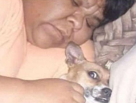 tipicodearg_'s tweet photo. Yo obligando a mi mascota a dormirse conmigo porque me siento solo https://t.co/2mbuaPT9VK