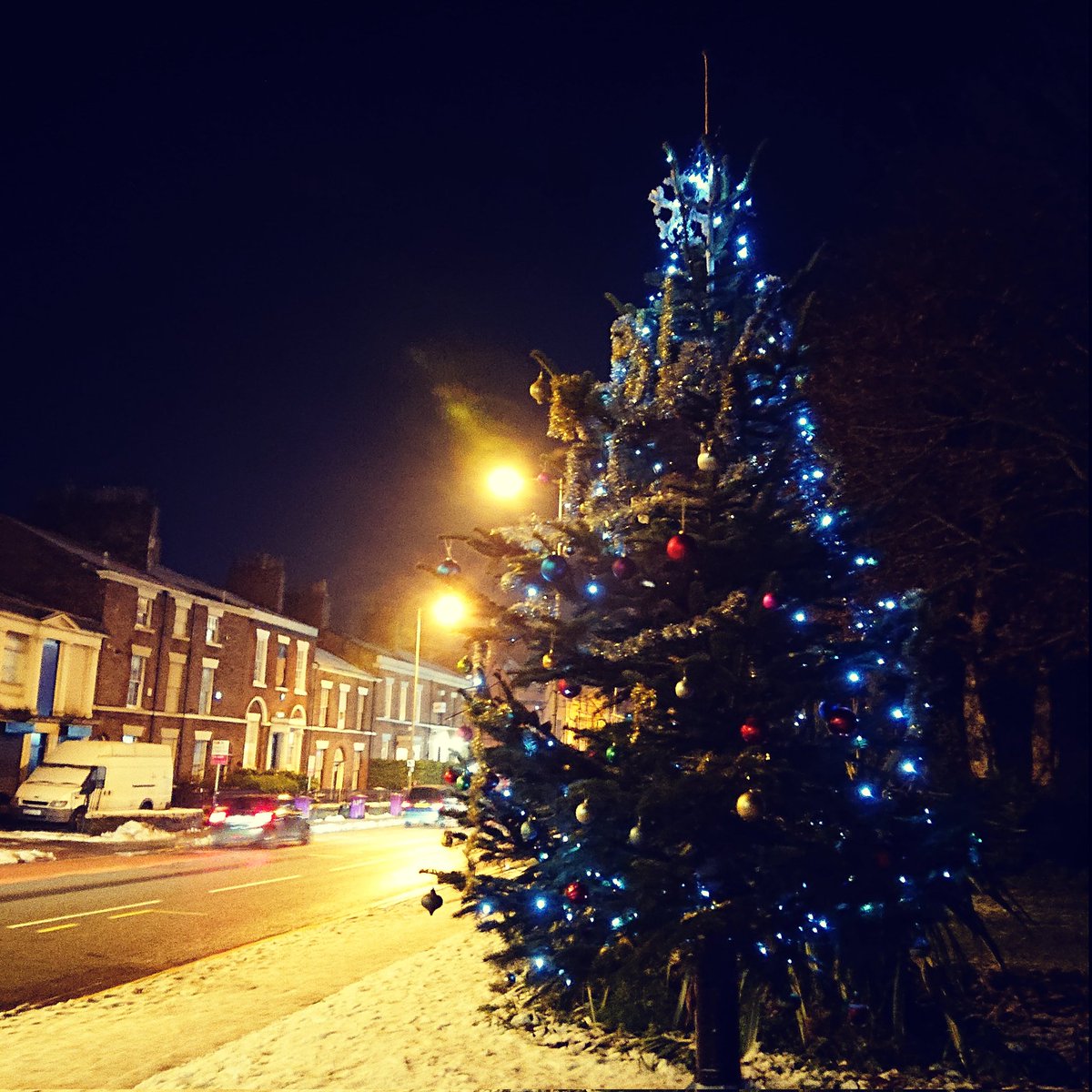 Looking merry, Wavertree! 🎄 @LoveWavertree @wavsoc @WavertreeTrees1