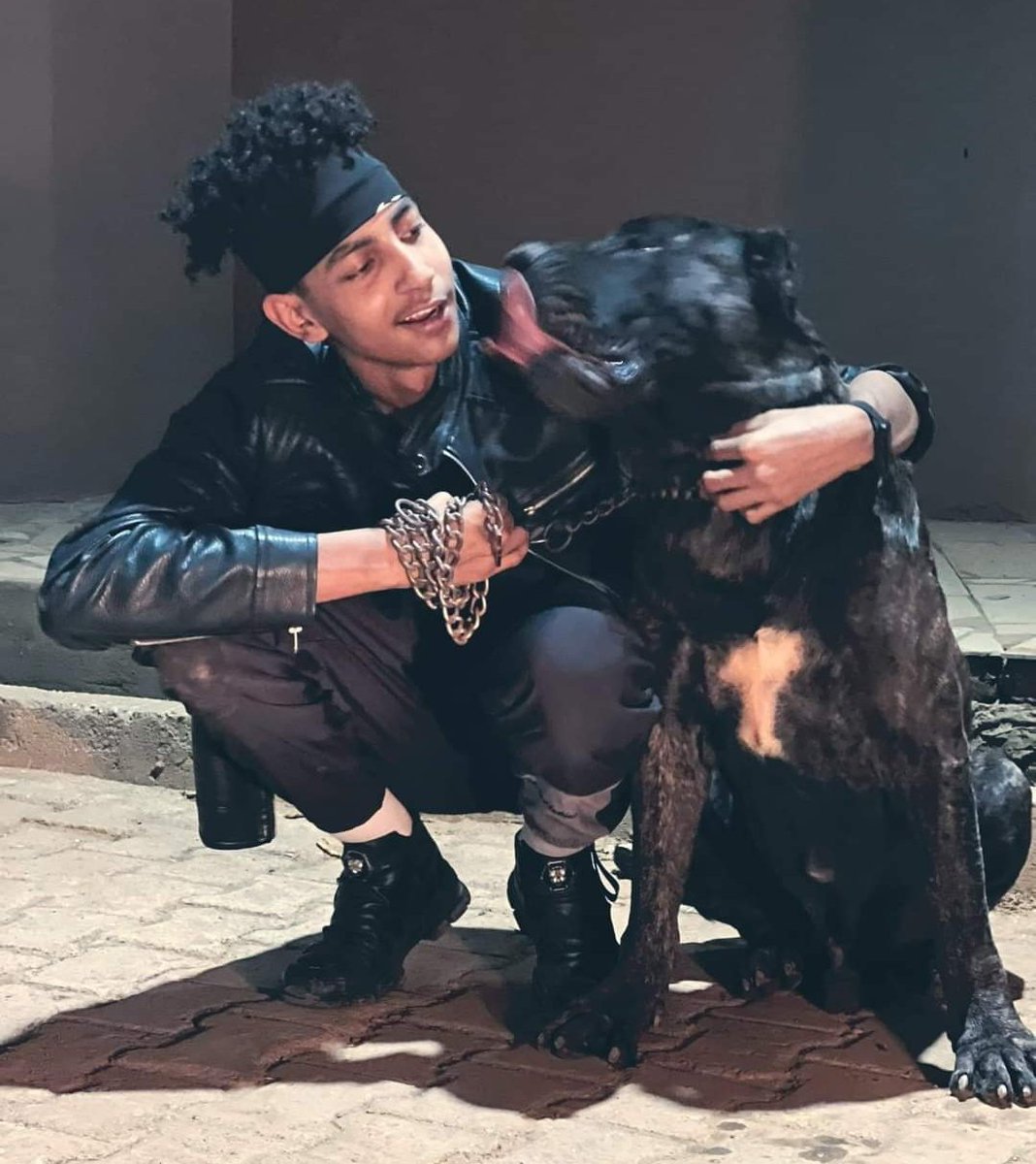 bushara249's tweet photo. وقت المصالح بتجيك الكلاب مُشتاقة 🐶 https://t.co/2ekpTnaRUL