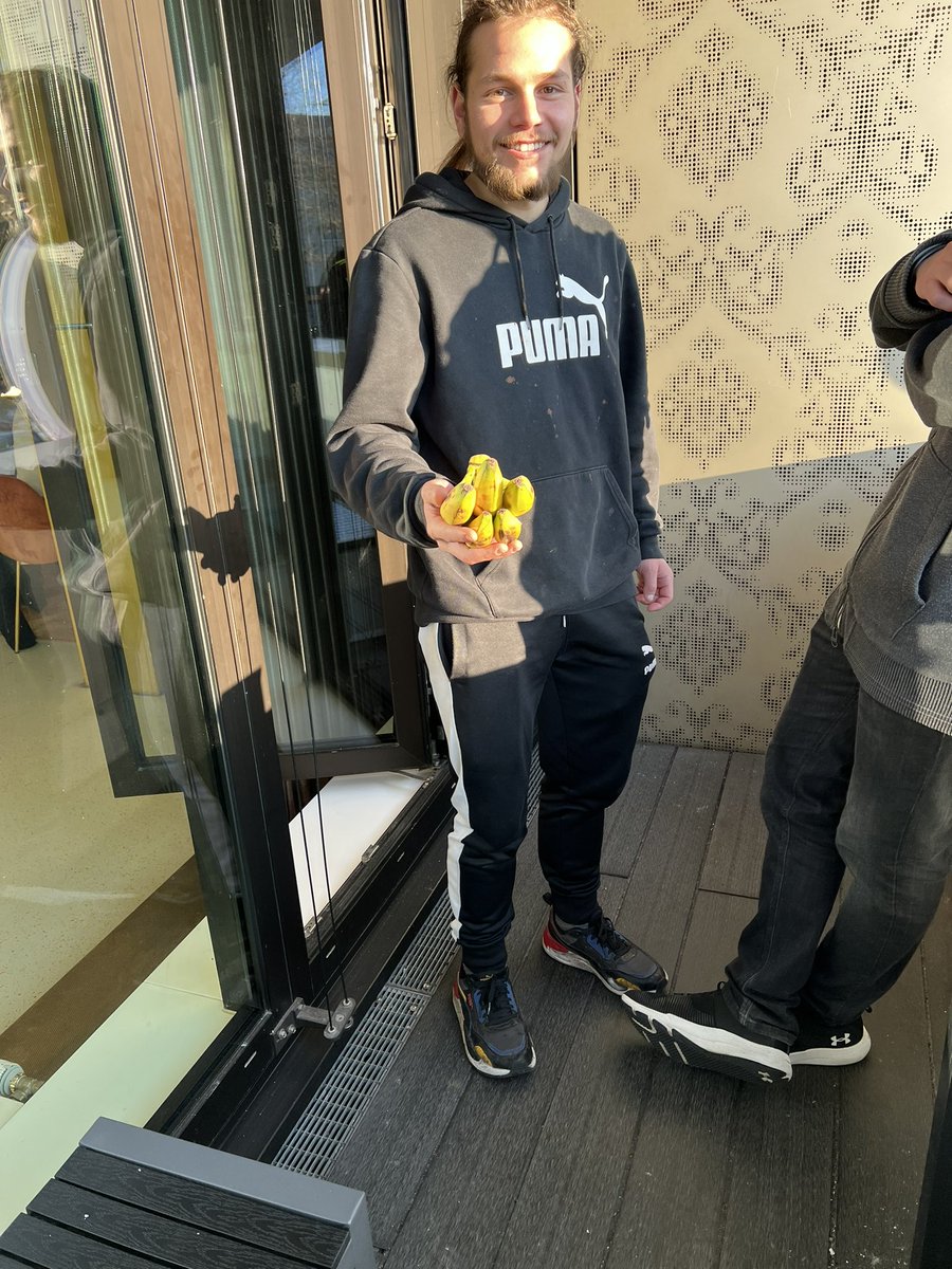 ger_monkeys's tweet photo. [#R6S][#MainTeam][#rcadiasiegechampions]

Frisch gestärkt mit den Bananen von @BotGerad gehen wir ins Finale gegrn @PlayingDucks 🔥

Schaut vorbei im @hamburgerding oder schalte ein https://t.co/3riYHYSmeC

#MonkeyPower https://t.co/EReNiw1Rxt