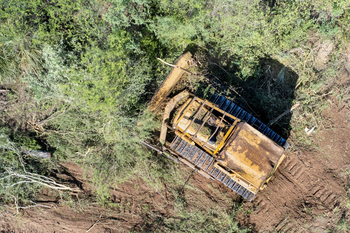 GreenpeaceArg's tweet image. Mientras se juega el mundial, el gobernador @jmcapitanich quiere habilitar la deforestación de 1 millón de hectáreas de bosques nativos en Chaco, además de perdonar a los que ya desmontaron de manera ilegal. No podemos permitirlo! #PodemosFrenarlo #DestruirBosquesEsUnCrimen