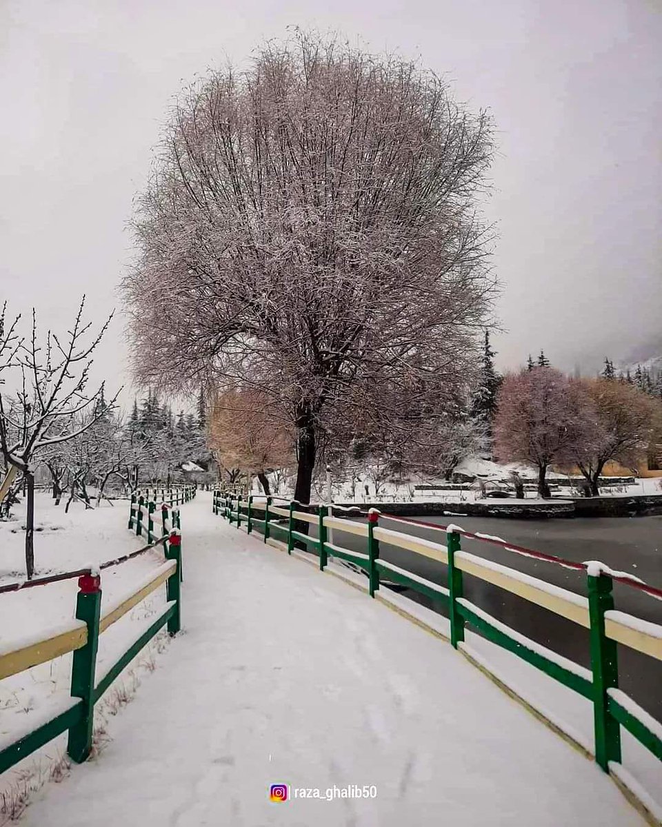 Paktourntravel's tweet photo. Winter Vibes ๐
๐Shangrila Resort Kachura โค
.
.
.
.
.
.
#razaghalibphotography
#razaghalib50
.
/
.
#skardu #instastoryfeature
#travelbeautifulpakistan @travelbeautifulpakistan @etribune #etribune #travellersofpakistan @travellersofpakistan https://t.co/5vtE9huPOq