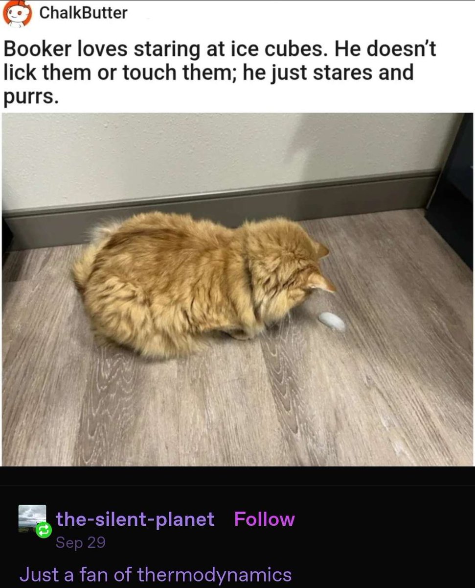 WholesomeMeme's tweet photo. https://t.co/GartFyXCcV