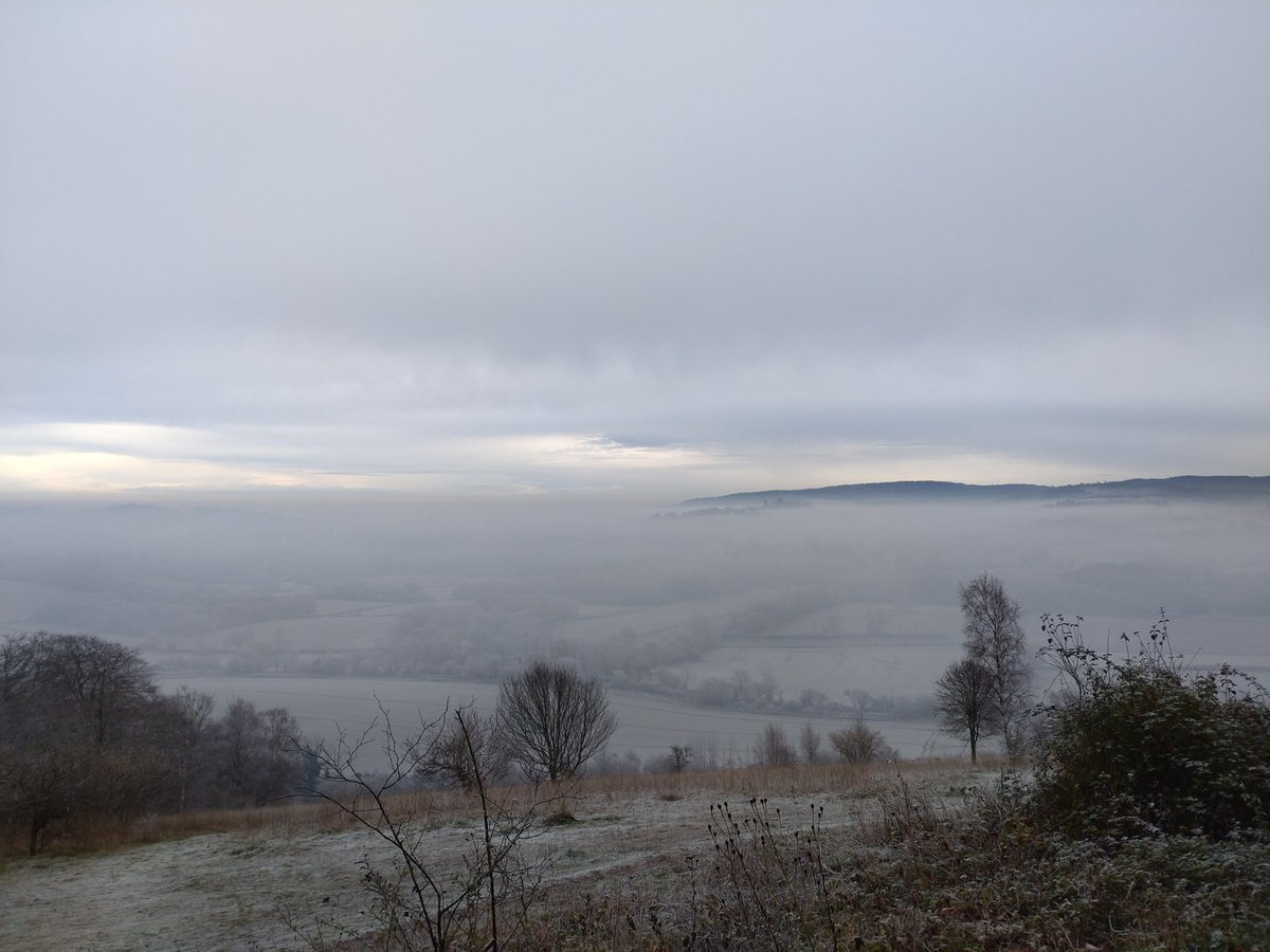 AndrewSalisbur2's tweet photo. Good to get out on the #mountainbike frosty @SurreyHillsAONB #WhiteDowns, #Ranmorecommon, #AbingerCommon https://t.co/CDuYqiZztC