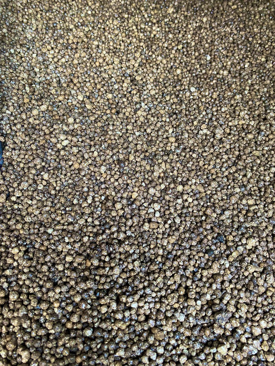 MagnanoMarcos's tweet photo. Mañana productiva. Ensayo de fertilizantes, TPS y foliares para maíz tardío. Gracias @RizobacterARG @AGDagro @AlexAgaccio #generandodatos #Glovaagro @agustinfalco86 https://t.co/hP9FvdLzjo