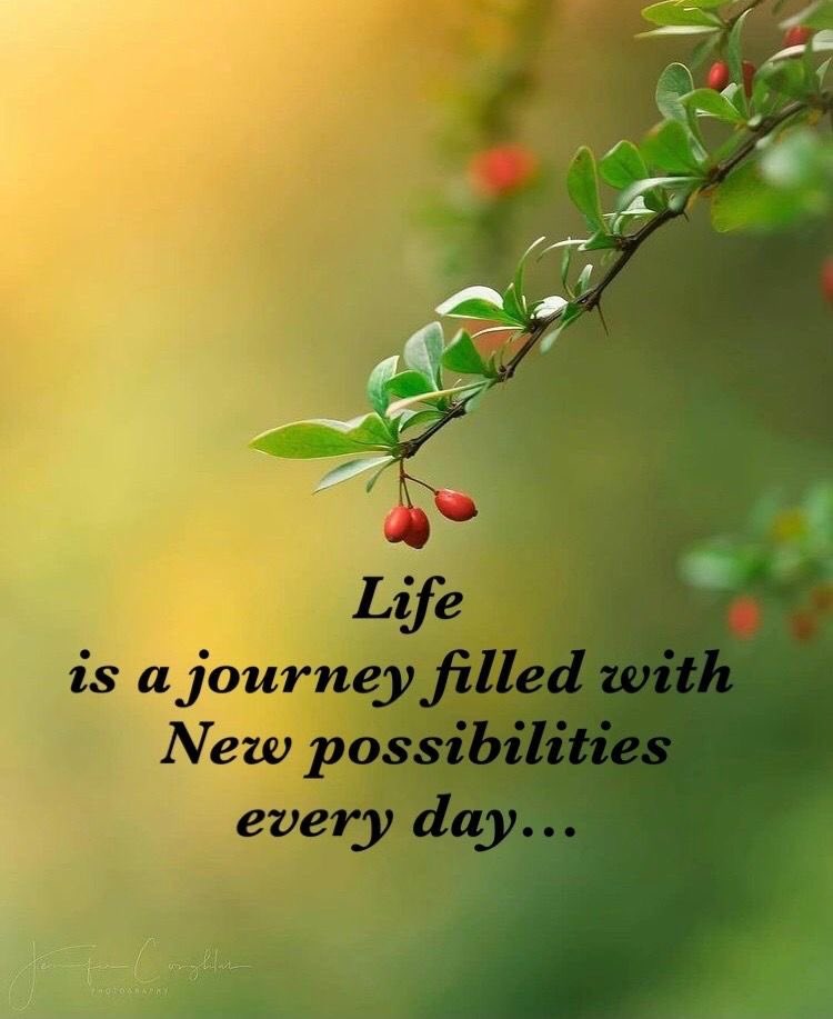 Dianne__LadyD tweet picture