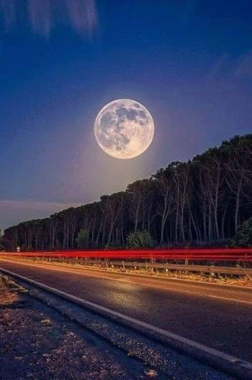 Zelliis1's tweet photo. Good evening friends😇🙏
#mytwitterfriends
#Sunday https://t.co/Dvz3F1vnrS