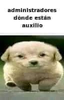 Fer92Bs's tweet photo. Que le avisen que ya paso septiembre #Sismo https://t.co/HNboHP9Ov1