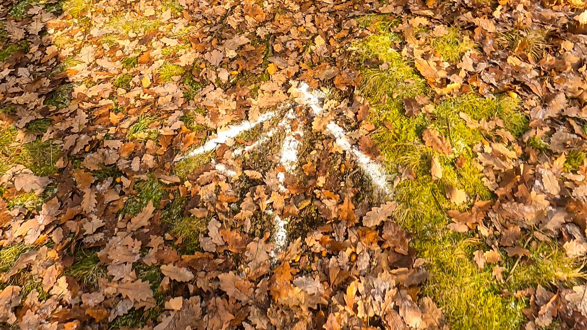 michal_kudrna's tweet photo. Trailová závist, Zvole
Ty terény!!! #nejvic
perníková medaile a vývar od Siláka v cíli, to chceš😍😊
#trailrunning https://t.co/gH7bjgHr9n