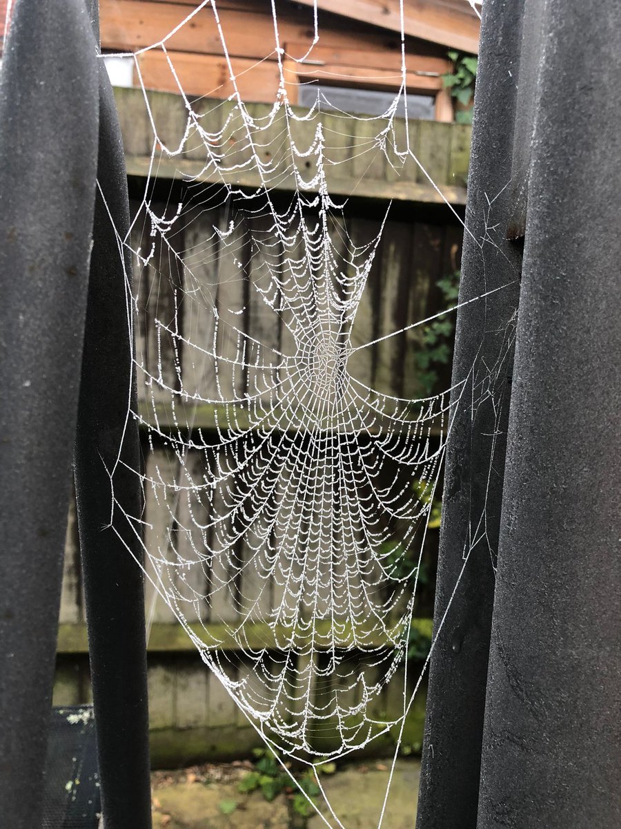 London is a bit cold ❄😊