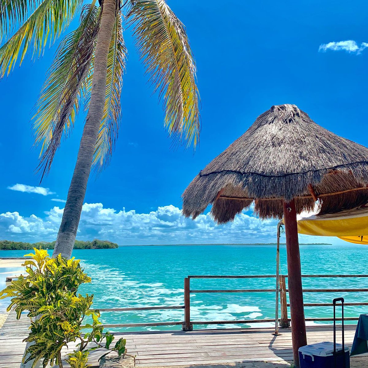 visitchetumal's tweet photo. Si decidiste 𝗱𝗶𝘀𝗳𝗿𝘂𝘁𝗮𝗿 𝘁𝘂 𝗱𝗲𝘀𝗮𝘆𝘂𝗻𝗼 en #Calderitas, aprovecha la visita y zarpa en lancha en dirección a #IslaTamalcab, una verdadera isla virgen y hermosa a pocos minutos de la costa.☕⛱
🌐: https://t.co/QZwQuJu9J7
📸: johnadderly vía IG
#CaribeMexicano https://t.co/YmEVwTmDFN