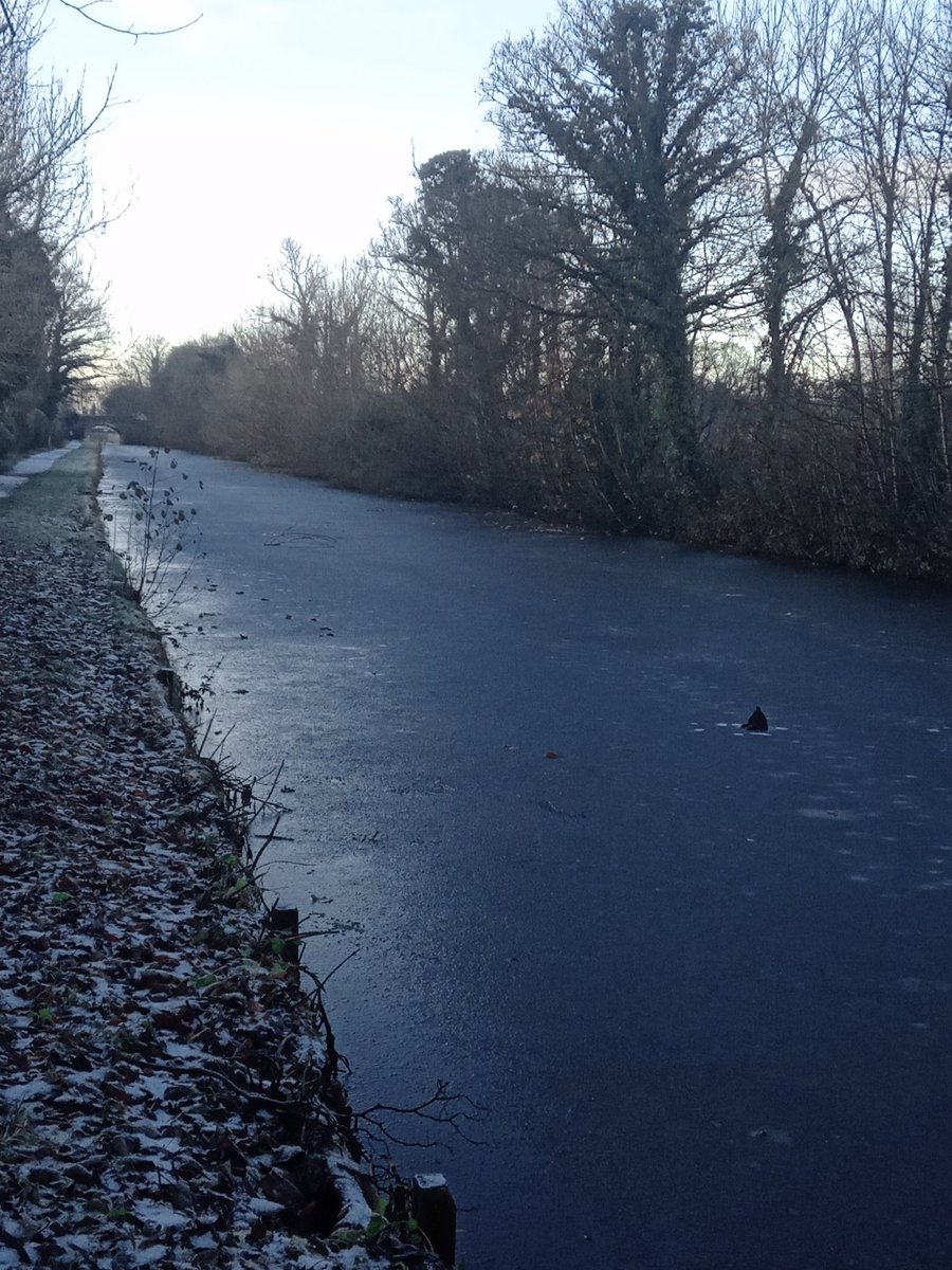 Gingerjane43's tweet photo. A icy one this morning including the nice dollop of dog poop that we see everywhere in plastics bags, one problem to another...just nice isn't it! https://t.co/SlPKYGg2lF