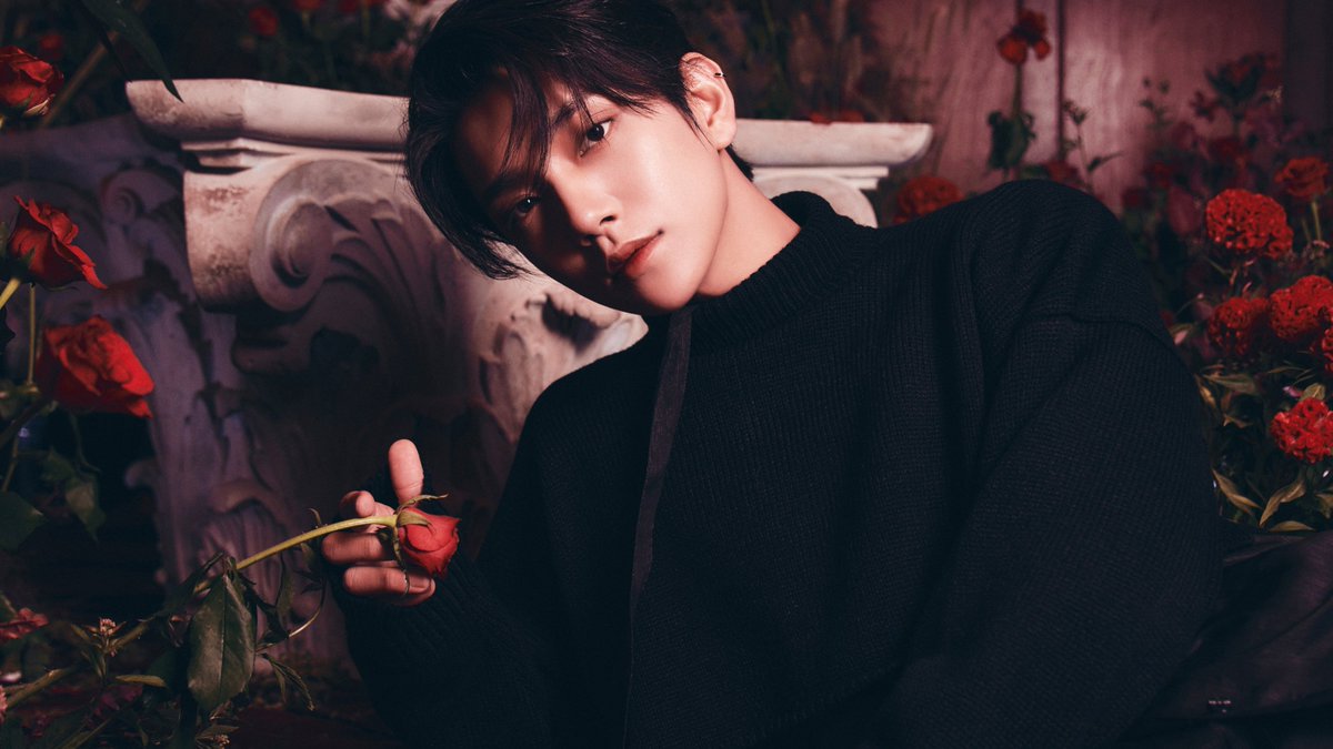joshua pics tweet media