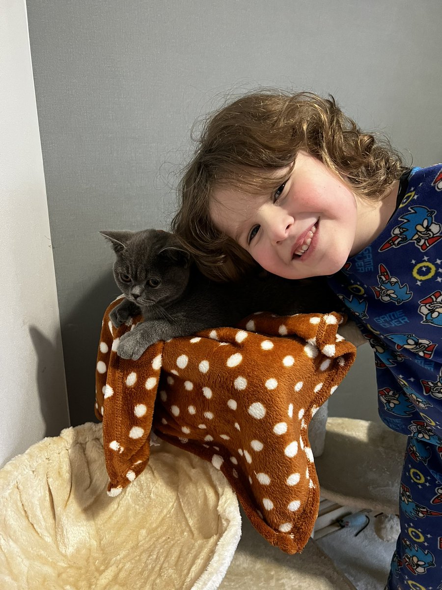 vicki1012's tweet photo. Zac wanted to show you our new kitten ‘Teddy’ @MissCooper01 🥰,totally in love 💙💙 https://t.co/ZKHpsPpDn5