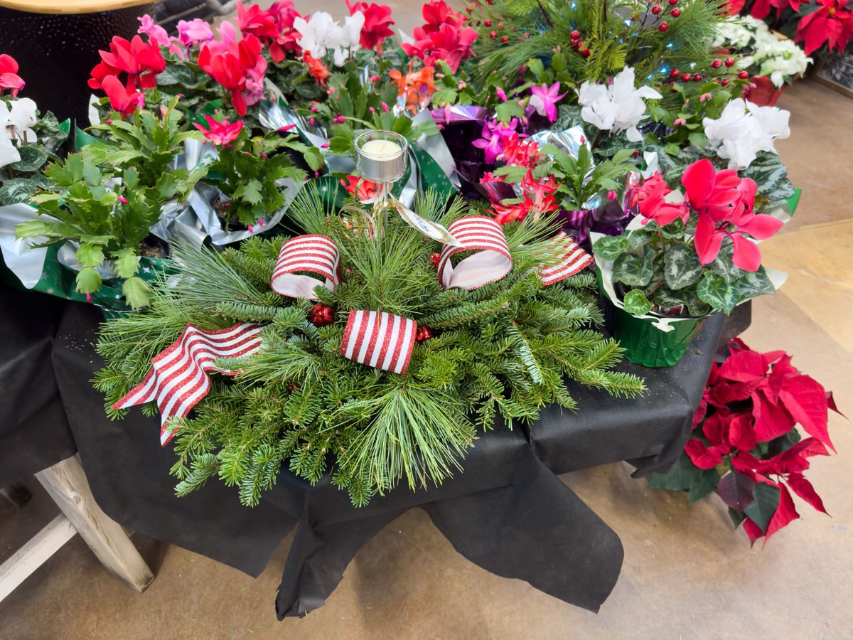 A couple of our fantastic center pieces! 😊