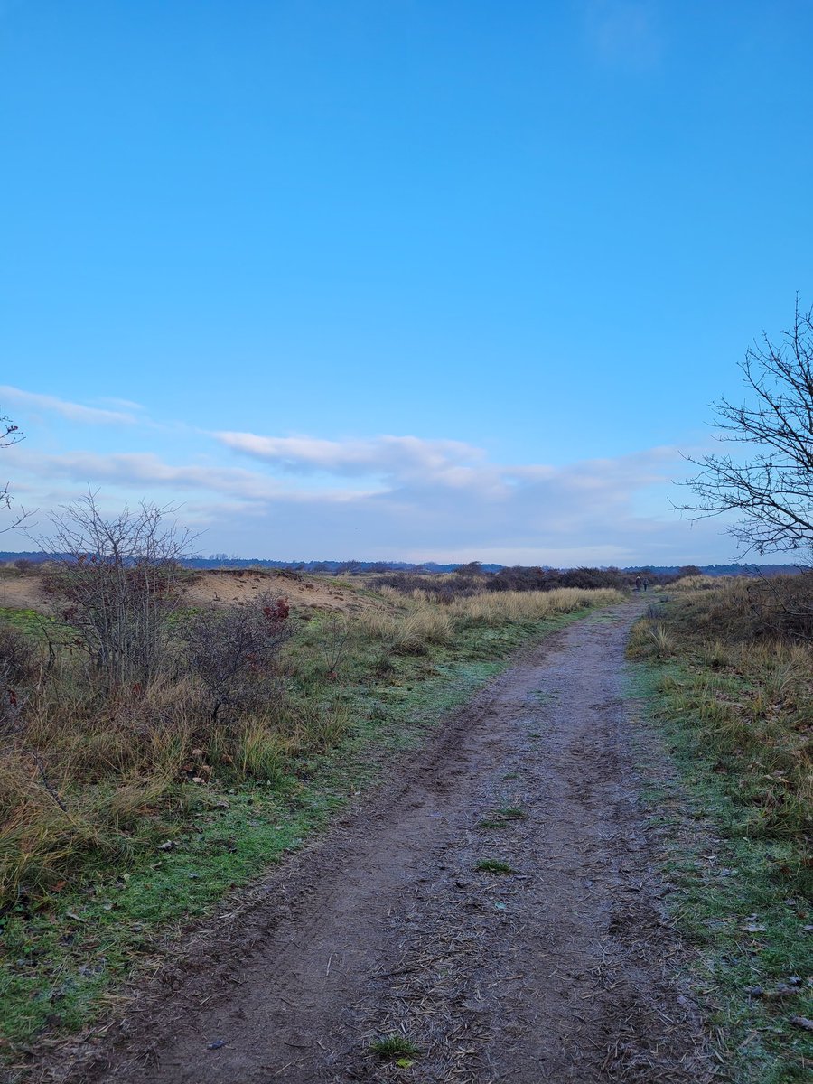 Vanmorgen gewandeld in het #PWNgebied bij #Castricum groene route 8.40km echt genieten.