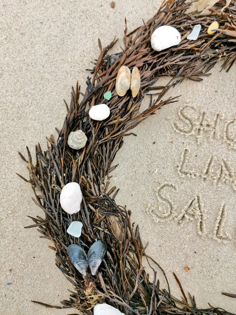 DigiDaughter's tweet photo. OPEN DOOR No. 11
SHORELINE ADVENT CALENDAR
Dec 11th - Christmas Wreath 💚 #AdventCalendar #Dec11 #wreath #seaglass #scallops #shells #pebbles #sand #feather #christmas #beachart #sandart #handwriting #pebbleart #shellart #SandBanksy #ShorelineSally
#the12daysofbeachmas 💙🌊🌊🌊 https://t.co/VmrqNncv2v