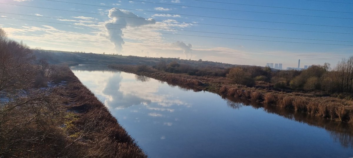 Joanna Hankinson tweet media