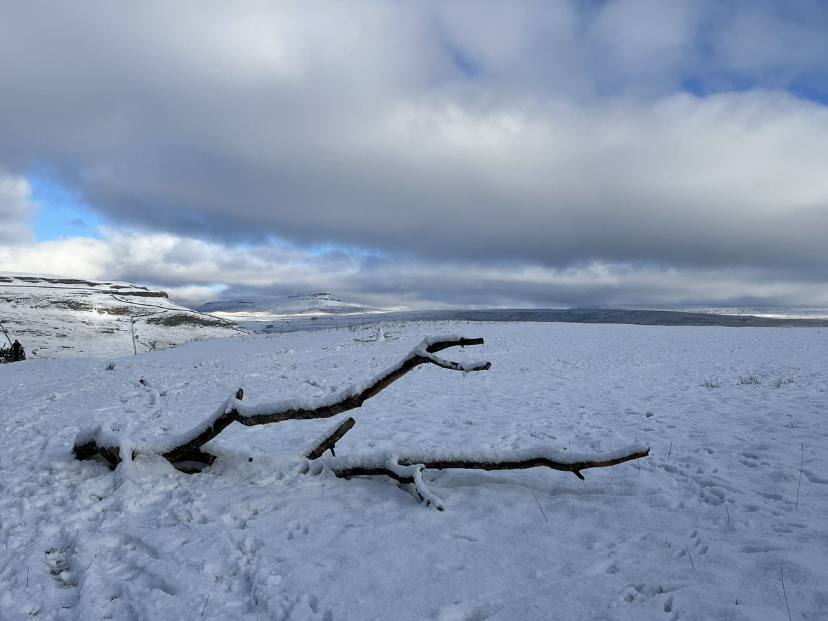 A beautiful five mile circular 🐾 walk, enjoying the first snowfall of the year❄️☃️
#Austwick 
#Feizor 
#YorkshireDales