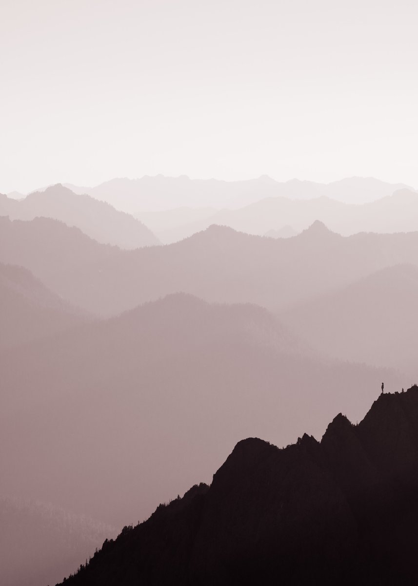 joelle_lb's tweet image. gm from my happy place