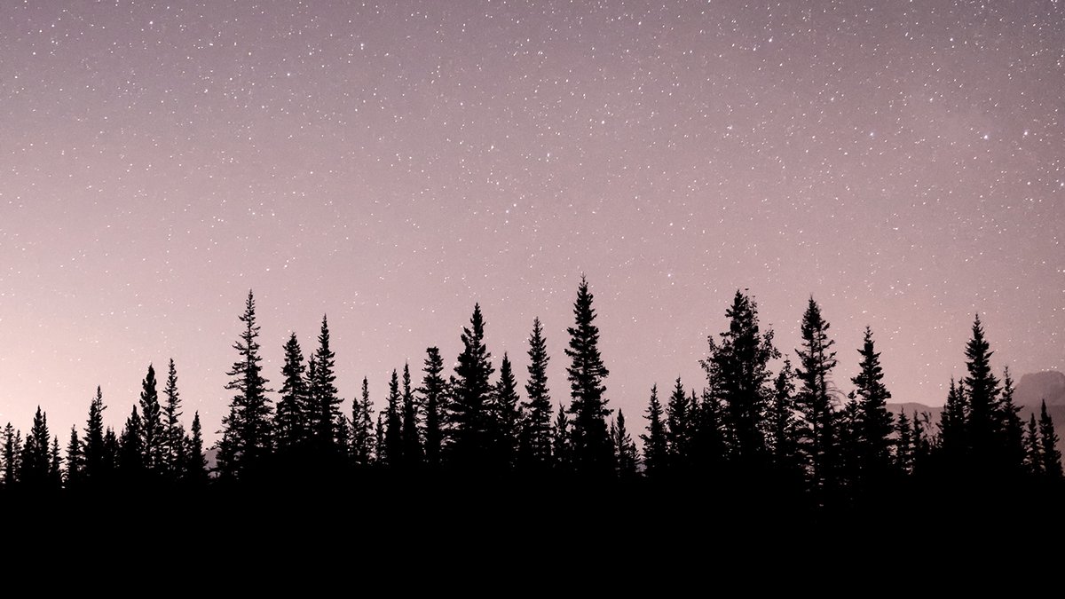 joelle_lb's tweet image. gm from my happy place