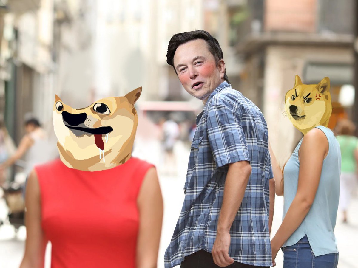 rugpull_lover's tweet photo. @CoinHubCC Team $DOGU https://t.co/o0PVOdkczE