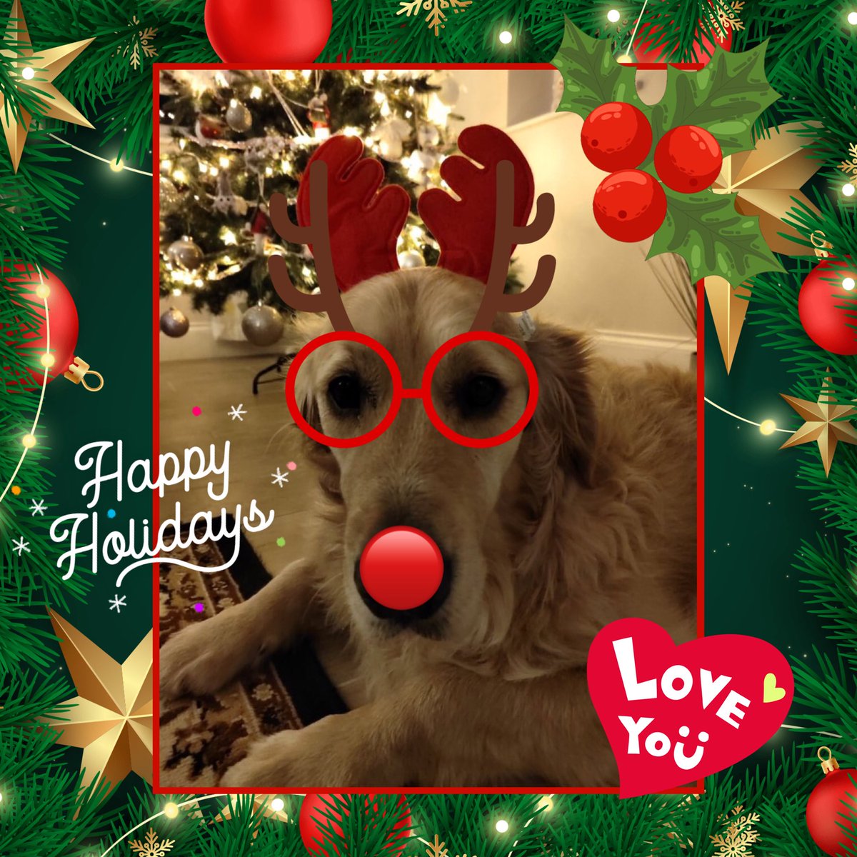 WhidbeyGypsy's tweet image. Thought maybe a red nose to light your way and night-vision glasses might help if you are called into service❤️💚
#ReadyToGuide