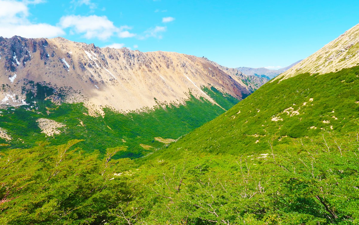 onnadelmar's tweet photo. Sendero Refurio Frey 🌎 Argentina
#Argentina #Patagonia https://t.co/YmXsOsr7G2