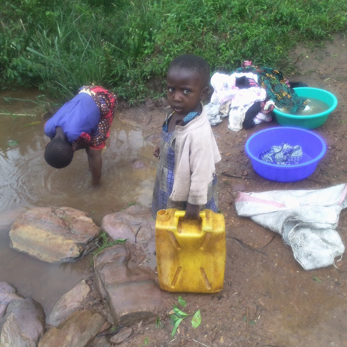 ChildgoFoundat1's tweet photo. Help children and their families access clean water.
The families from villages around Bwindi lack clean water . Some families share water sources with livestock, wildlife which increases the chances of diseases. Checkout our website to support https://t.co/nBmB82xbC7 https://t.co/rQCITpE6z1