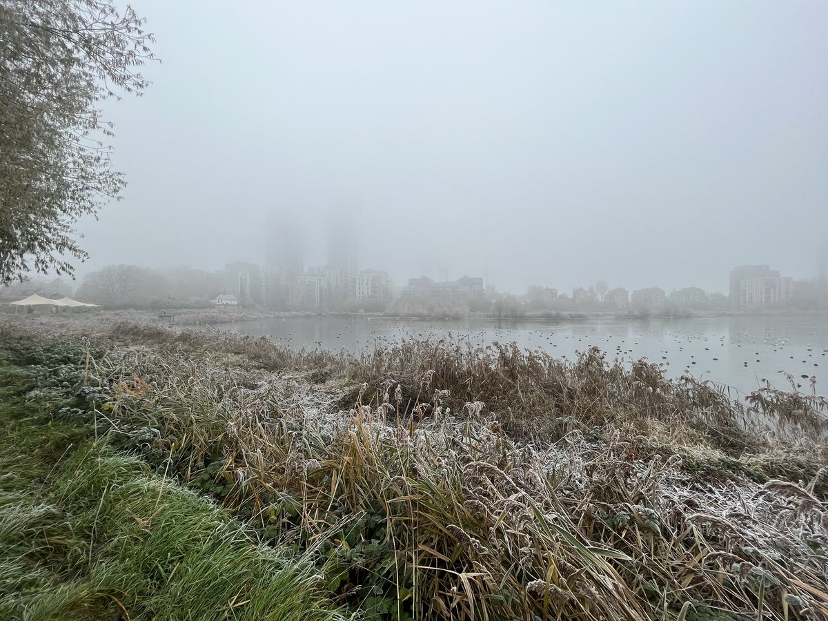 Woodberry Wetlands this morning