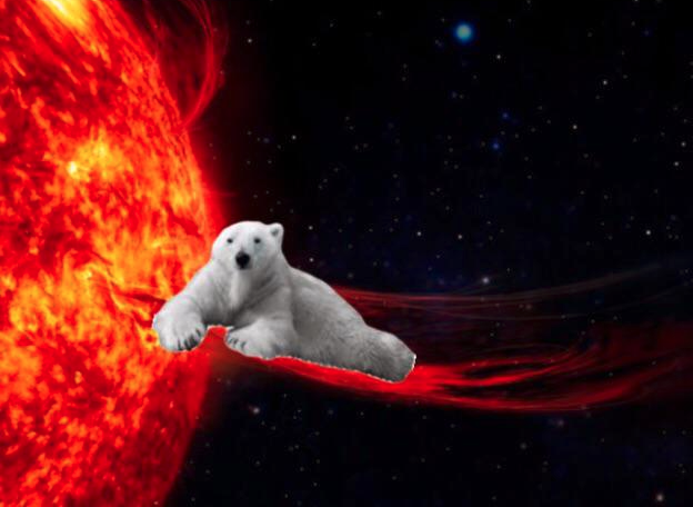 ScienceSocks's tweet photo. You heard of elf on a shelf ... now get ready for https://t.co/qNBLPvJ9AJ
